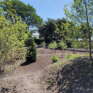 Aug. 2021 - New! Primate Canopy Trails - Food Garden