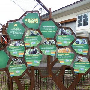 Aug. 2021 - New! Primate Canopy Trails - Animal ID Signage