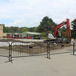 Construction of Gorilla Statue