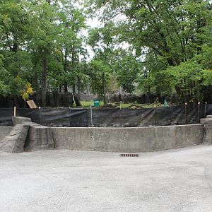 Future Capybara Exhibit (Former Pygmy Hippo) - Pachyderm House