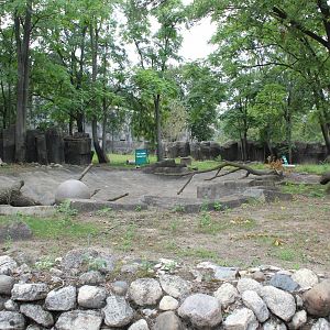 Future Capybara Exhibit (Former Pygmy Hippo) - Pachyderm House