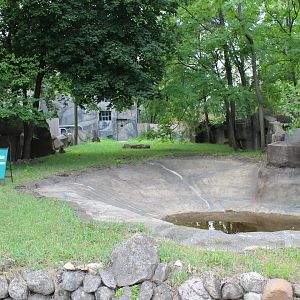 Future Exhibit (Former Giant Anteater) - Pachyderm House