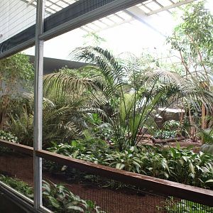 Tropical Aviary (9 Species) - Feathers & Scales