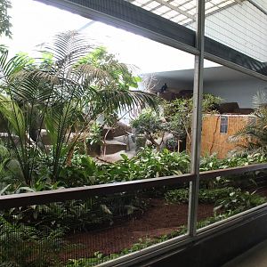 Tropical Aviary (9 Species) - Feathers & Scales