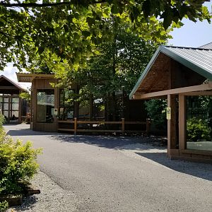 Living Treasures LH - Ringtail lemur, kookaburra exhibits