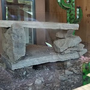 Living Treasures LH - BT Prairie dog