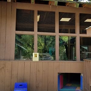 Living Treasures LH - BT Prairie dog