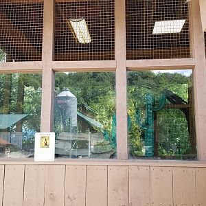 Living Treasures LH - BT Prairie dog