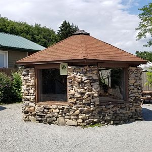 Living Treasures LH - Squirrel monkey