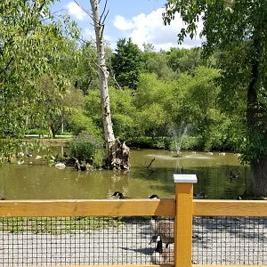 Living Treasures LH - Pond