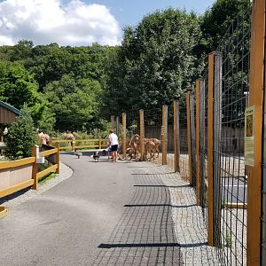 Living Treasures LH - Path