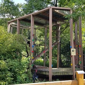 Living Treasures LH - Howlers