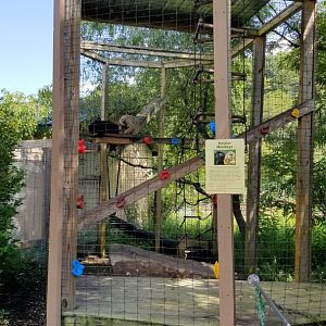 Living Treasures LH - Howlers