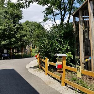 Living Treasures LH - Looking back at path