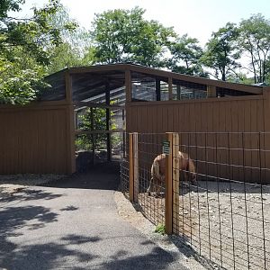 Living Treasures LH - Aviary, mara