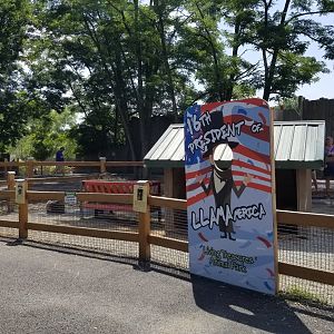 Living Treasures LH - Petting area, llama and alpaca