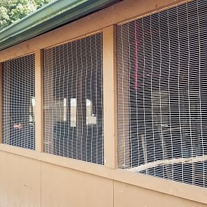 Living Treasures LH - Petting area, bird feeding area?