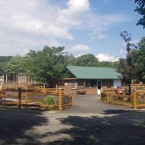 Living Treasures LH - Petting area