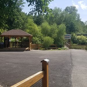 Living Treasures LH - Catfish, koi feeding