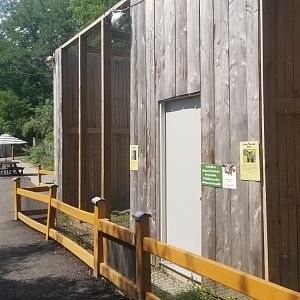 Living Treasures LH - Birds of prey