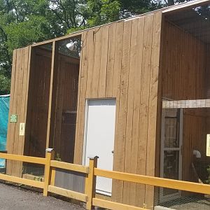 Living Treasures LH - Birds of prey