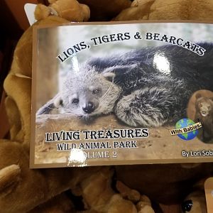 Living Treasures LH - Book vol. 2