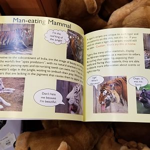 Living Treasures LH - Sample of book pages