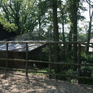 Crowned crane aviary
