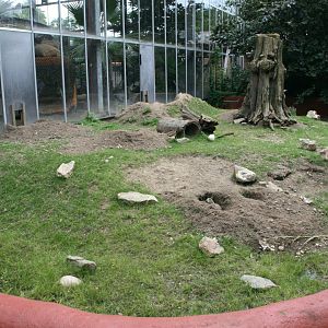 Prairie dog enclosure