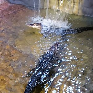 I want to shower too!