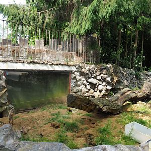 Exhibit for breeding group of meerkats, 2021-06-15