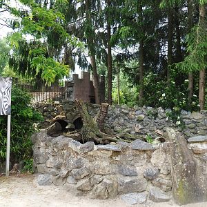 Exhibit for breeding group of meerkats, 2021-06-15