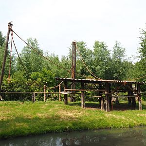 Ring-tailed lemur island, 2021-06-15