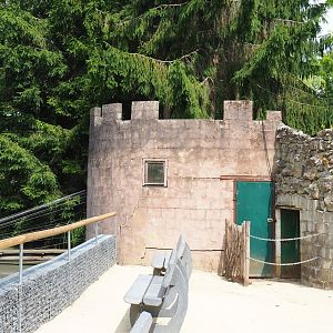 Ring-tailed lemur and Meerkat holding building, 2021-06-15