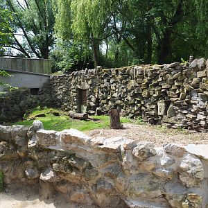 Domestic rabbit exhibit (Part of former raccoon exhibit), 2021-06-15