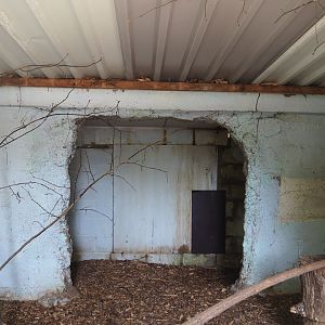 Indoor housing domestic rabbits, 2021-06-15