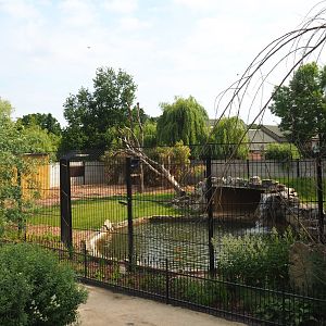 Non-subspecies specific tiger exhibit, seen from the viewing area on top of the cheetah holding building, 2021-06-15