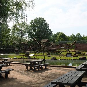 Picnic area and Black-capped capuchin and capybara island,  2021-06-15