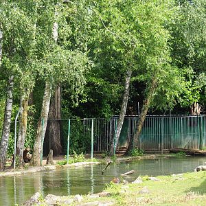 Beach area and barn for capybaras opposite the moat from the black-capped capuchin island, 2021-06-15