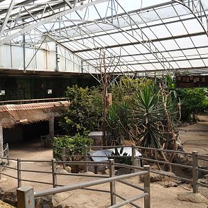 View in the tropical hall with tortoise exhibits, pathway to upper level and upper level with aviaries, 2021-06-15