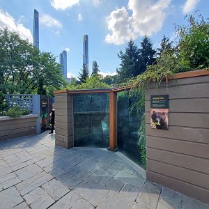 Grizzly Bear Viewing Area - August 2021