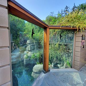 Grizzly Bear Viewing Area - August 2021