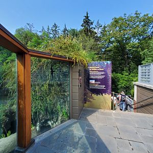 Grizzly Bear Viewing Area - August 2021