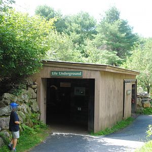 Life Underground Building (no live animal exhibits)
