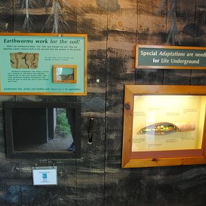 Life Underground - interpretive materials