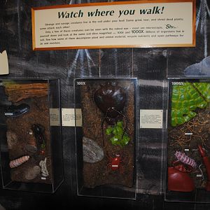 Life Underground - interpretive materials