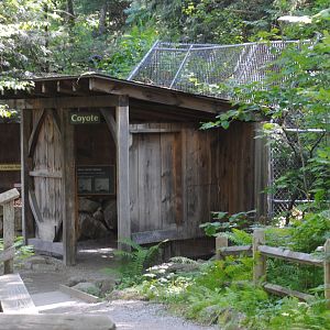 Coyote viewing shelter