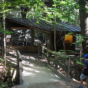 Bobcat viewing shelter