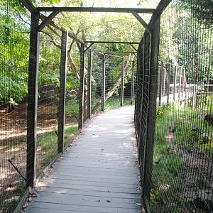 Path through White-tailed Deer exhibit