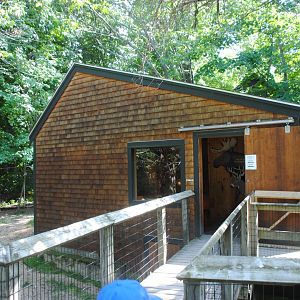 Cabin with Deer interpretive materials
